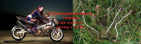 шишки Алексеевка
