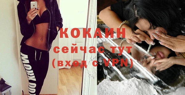 кокс Алексин