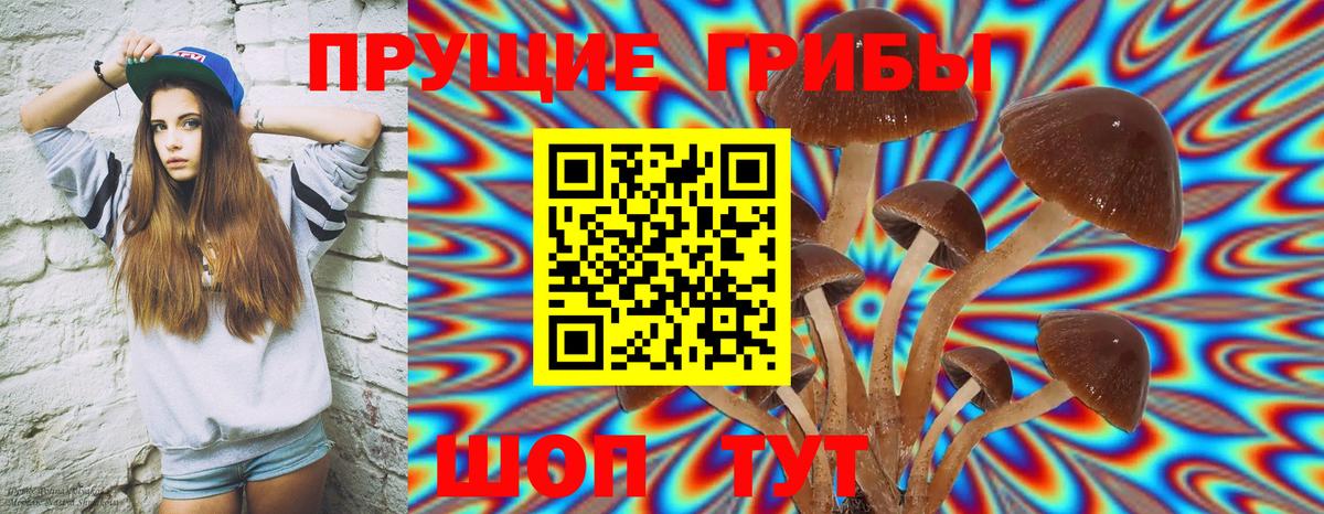 Псилоцибиновые грибы мицелий Троицк